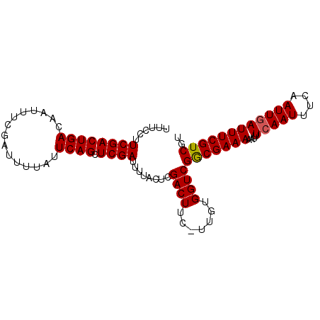 secondary structure