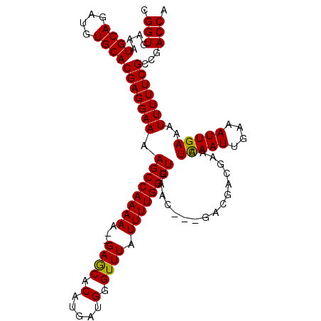 secondary structure