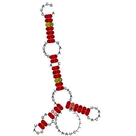 secondary structure