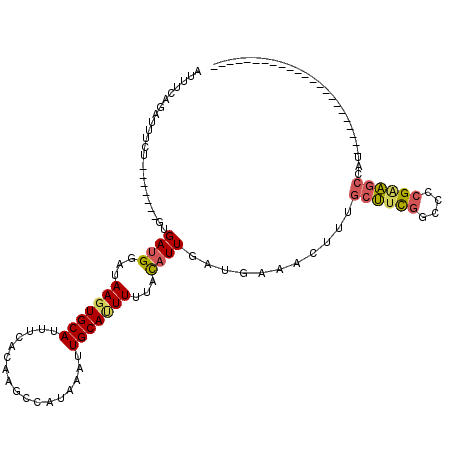 secondary structure