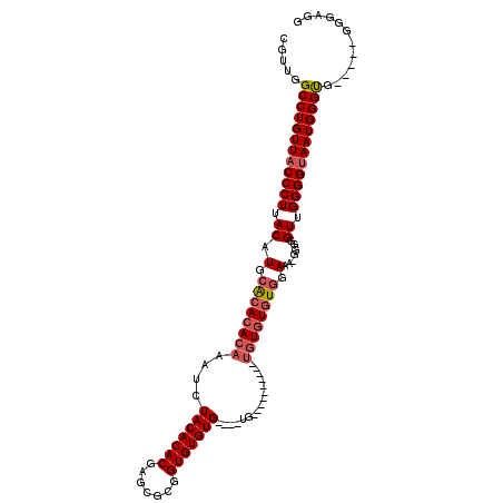 secondary structure