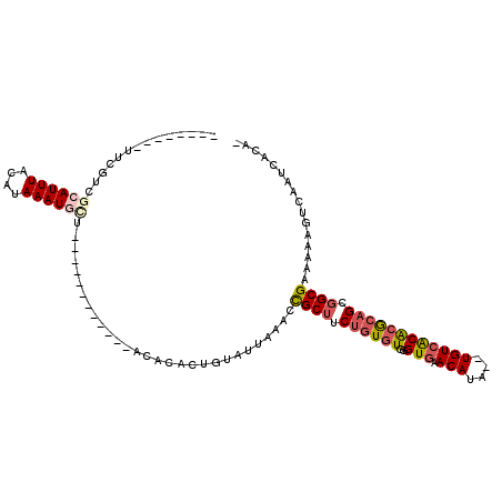 secondary structure