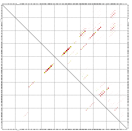 dotplot