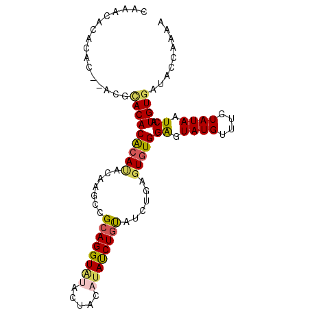 secondary structure