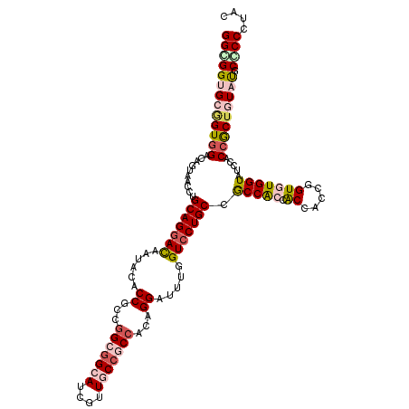 secondary structure