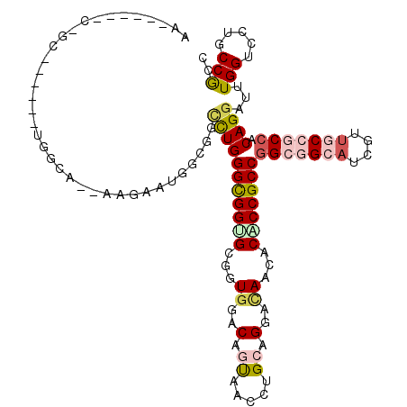 secondary structure