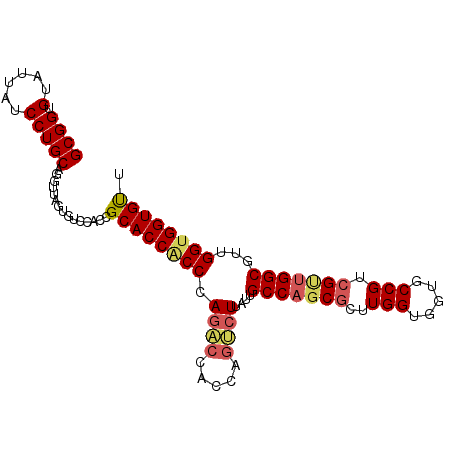 secondary structure