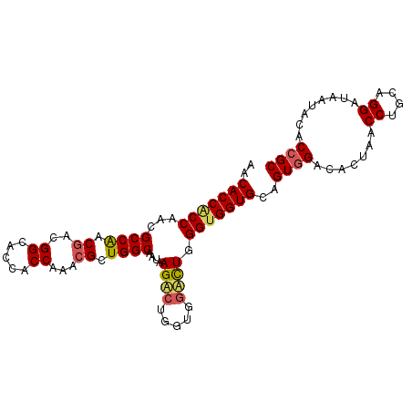 secondary structure