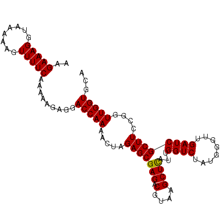 secondary structure