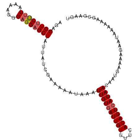 secondary structure