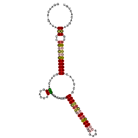secondary structure