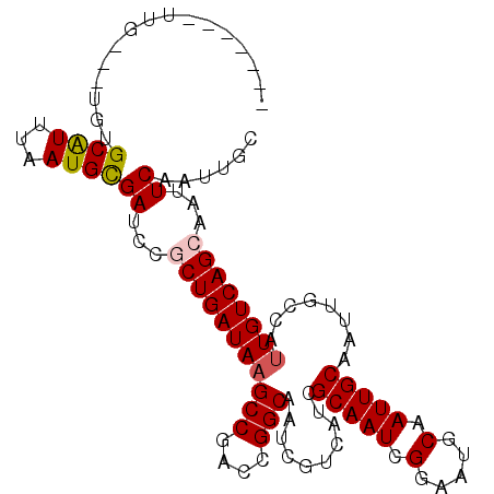 secondary structure