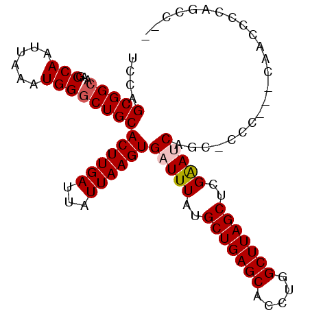 secondary structure