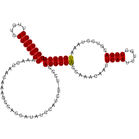secondary structure