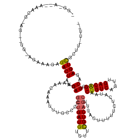 secondary structure