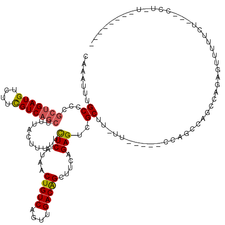 secondary structure