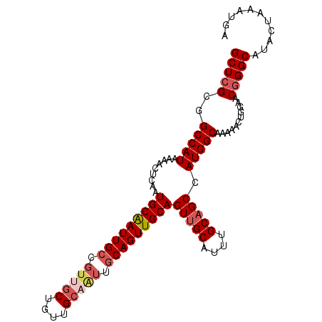 secondary structure