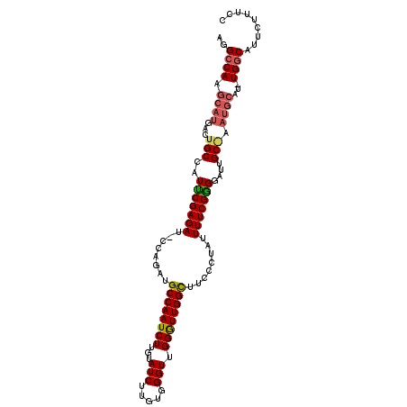 secondary structure