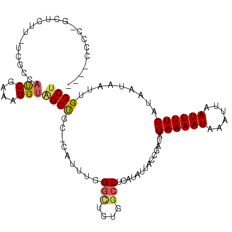 secondary structure