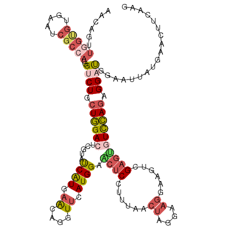 secondary structure