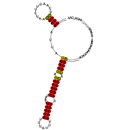 secondary structure