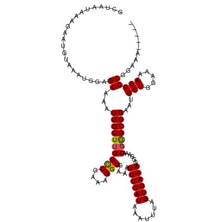 secondary structure