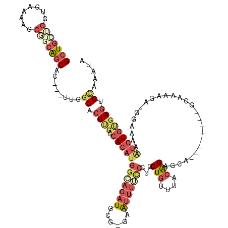 secondary structure