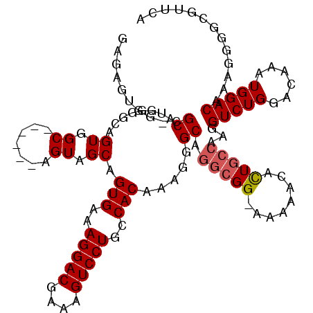 secondary structure