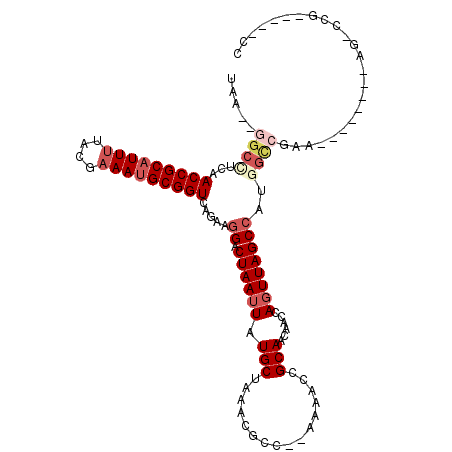 secondary structure