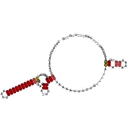 secondary structure