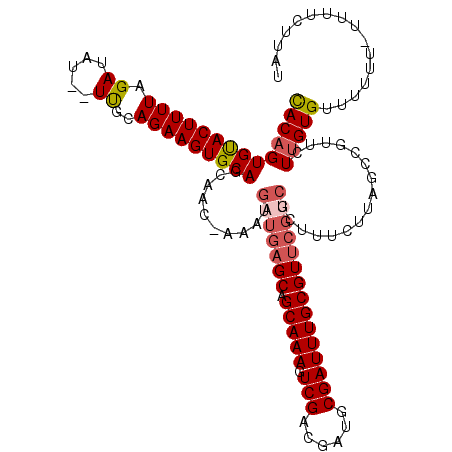 secondary structure