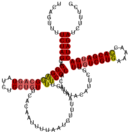 secondary structure