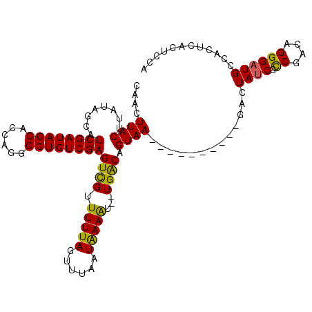 secondary structure
