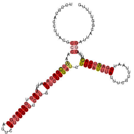 secondary structure