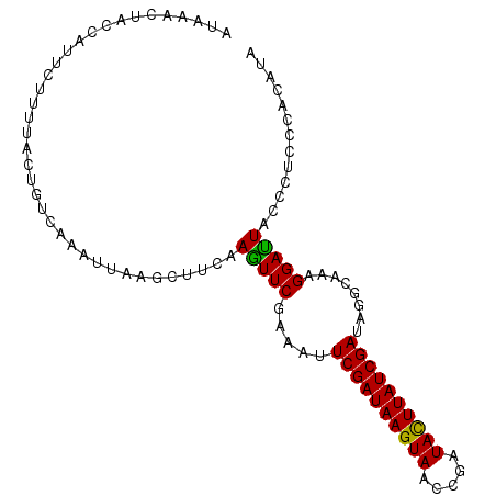 secondary structure