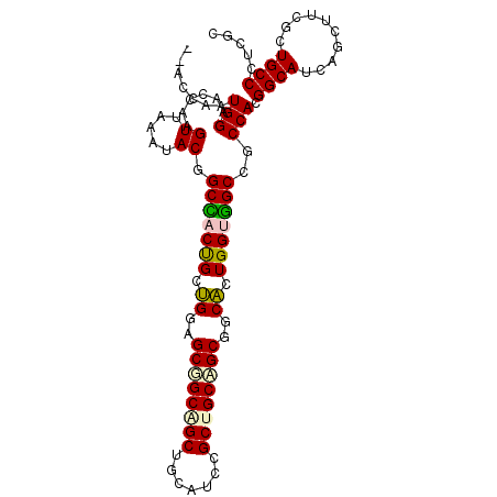 secondary structure