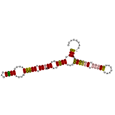 secondary structure