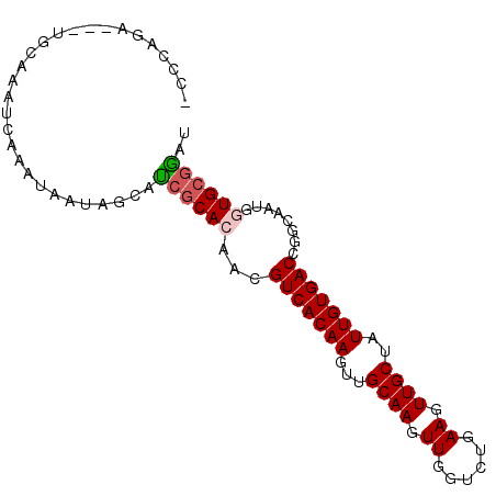 secondary structure