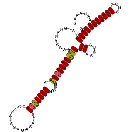 secondary structure