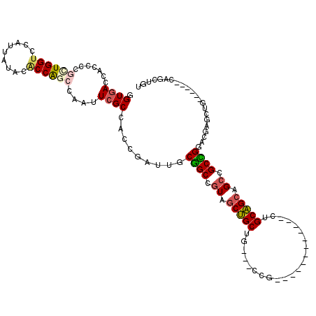 secondary structure
