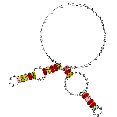 secondary structure