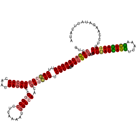 secondary structure