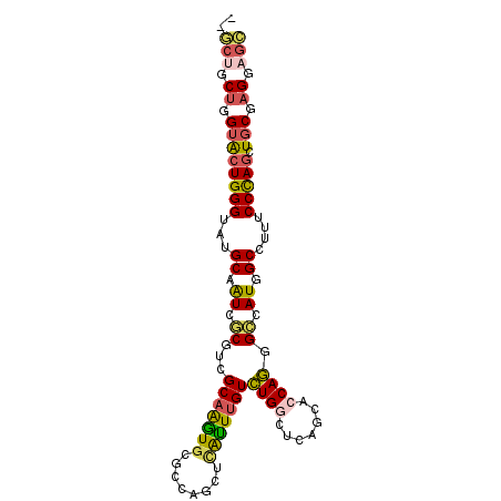 secondary structure