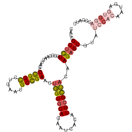 secondary structure