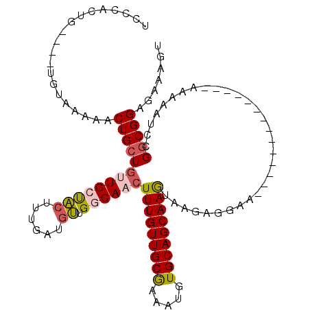 secondary structure