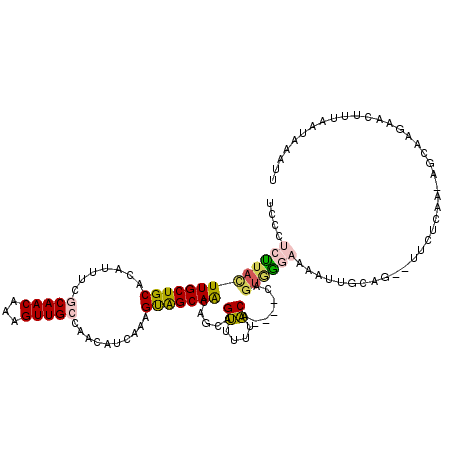 secondary structure