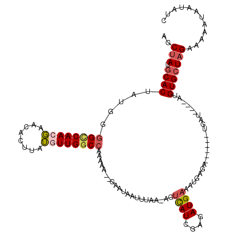 secondary structure