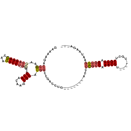 secondary structure