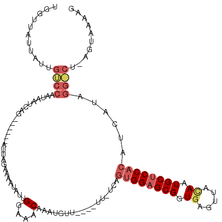 secondary structure