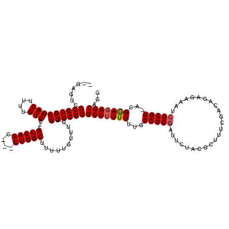 secondary structure